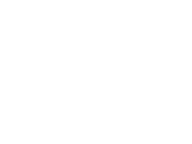 Logo-Vivamini